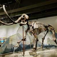 Exploring Wonders: Hong Kong Science Museum