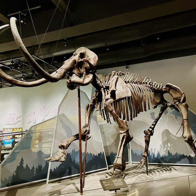 Exploring Wonders: Hong Kong Science Museum