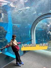 【 免費與海豚互動。水族館•海響館 】