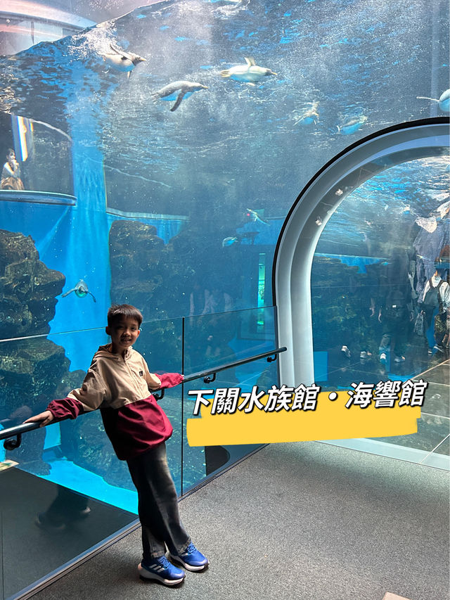 【 免費與海豚互動。水族館•海響館 】