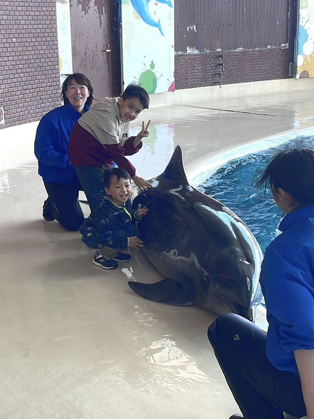 【 免費與海豚互動。水族館•海響館 】