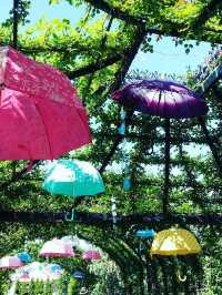 橫濱市中的秘密花園YOKOHAMA ENGLISH GARDEN