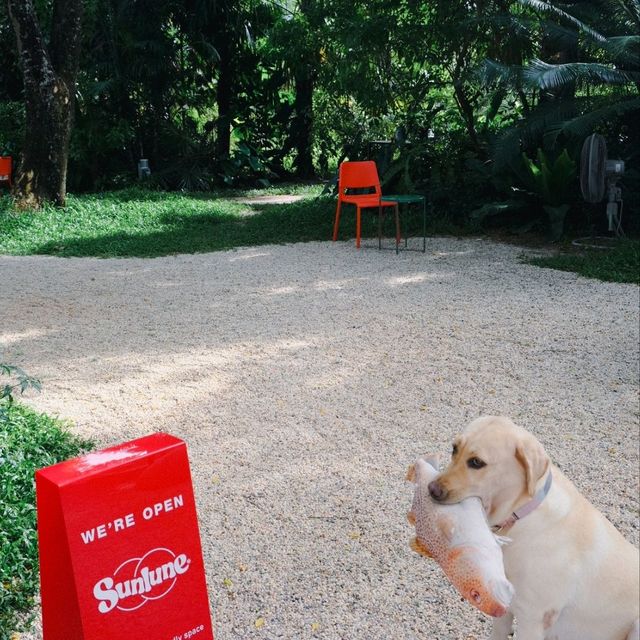 🍦 𝑺𝒖𝒏𝒍𝒖𝒏𝒆🍒 คาเฟ่ไอติม 🏖️🏖️