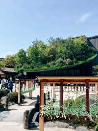 🇯🇵日本福岡太宰府一日遊景點🌸 太宰府表參道好吃又好逛！