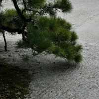 金出大日堂：禪宗美學的極致體現，帶來心靈寧靜與啟迪