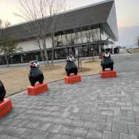 我愛熊本熊