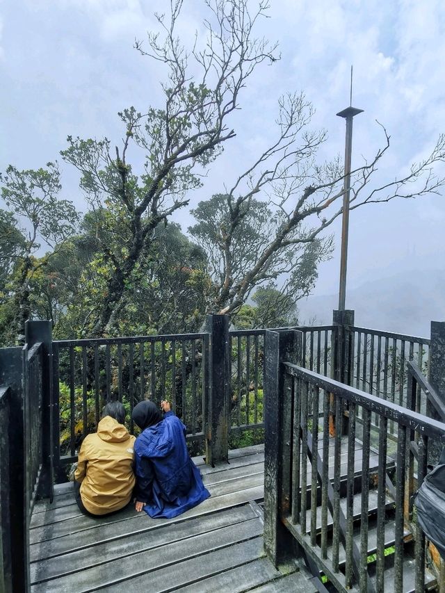 Enchanting Nature Preserve in Cameron Highland