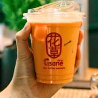 Tisane 