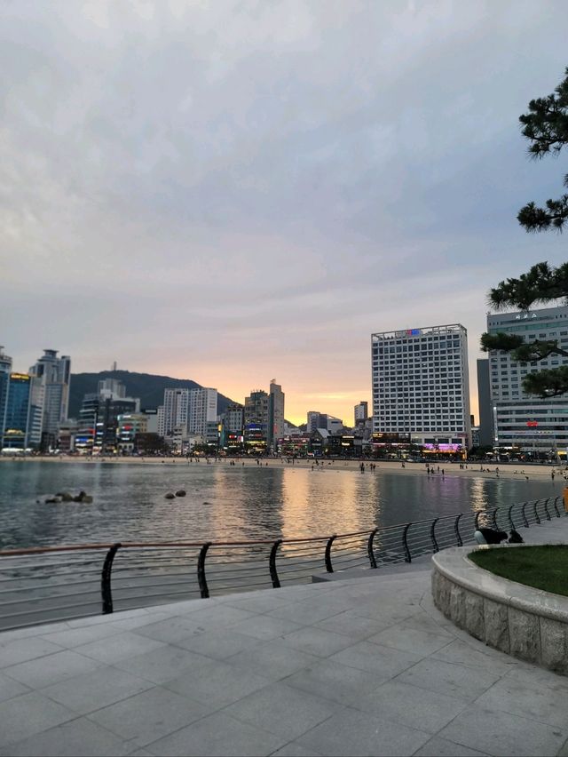 돌아온수변공원을 즐길수 있는 밀락더마켓🔥