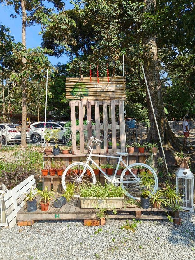 Tam’s Durian Farm & Campsite: A Hidden Gem in Melaka