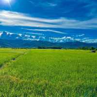 La Borne Point - ลา บล็อง พ้อยท์