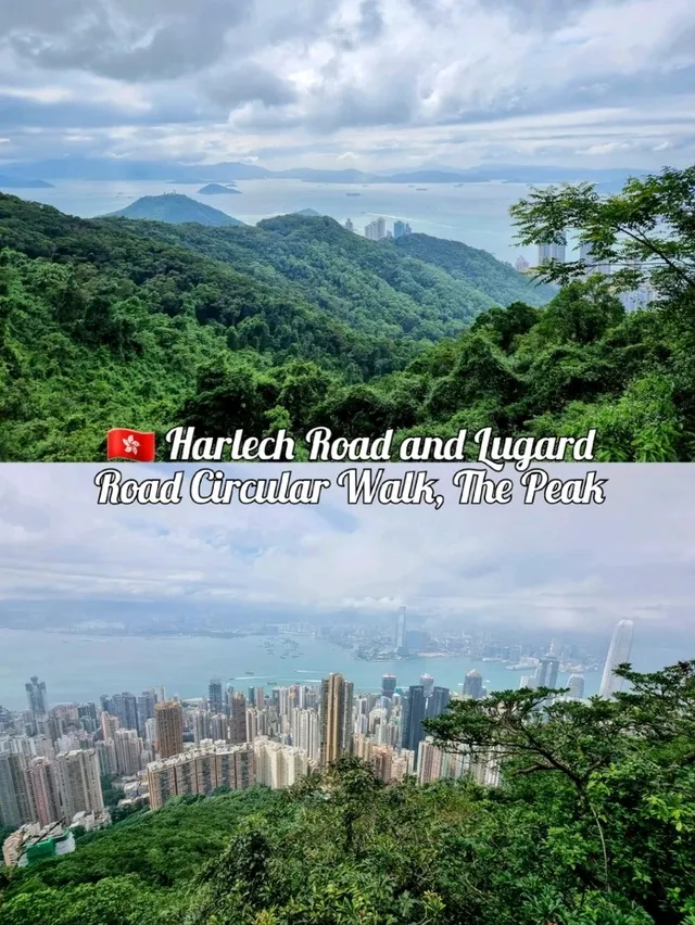 🇭🇰 Harlech Road and Lugard Road Circular Walk, The Peak