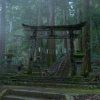 滝山に鎮座する苔むすの神社