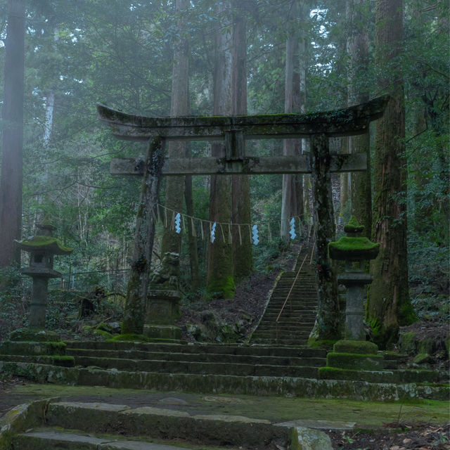滝山に鎮座する苔むすの神社