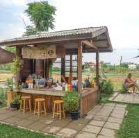 คาเฟ่ homie กลางทุ่งนา