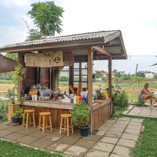 คาเฟ่ homie กลางทุ่งนา
