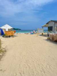 【伊豆】ココは南国!?透明度バツグンなビーチ🏖