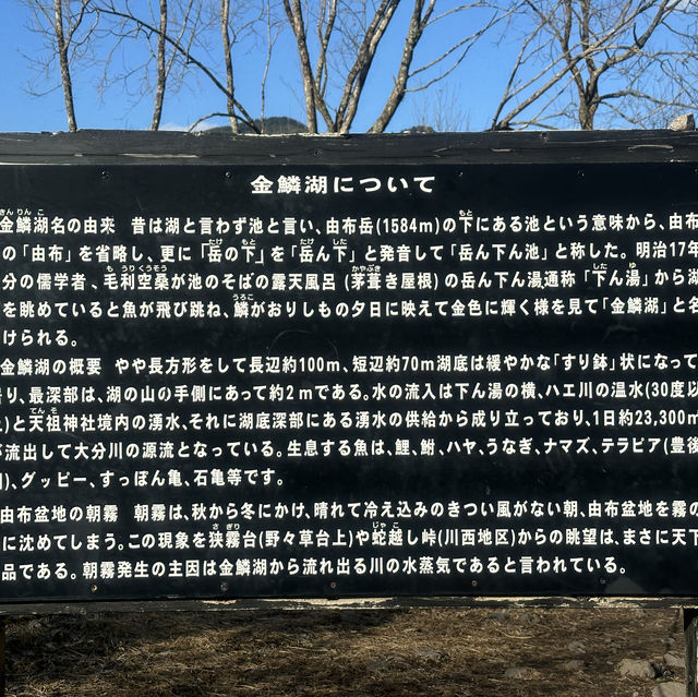 金鱗湖：湖畔神秘鳥居，由布院必遊景點