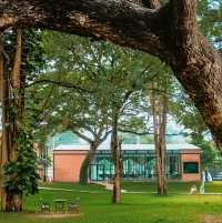 🌳คาเฟ่ในสวน บรรยากาศดี @กาญจนบุรี