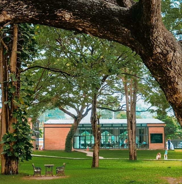 🌳คาเฟ่ในสวน บรรยากาศดี @กาญจนบุรี