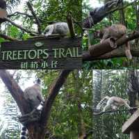 🦦🦧🦍🐟🐗新加坡奇妙野生動物園🦒🦘🐘🦚🐿️