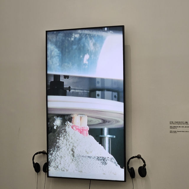 미술 전공자가 추천하는 🖼️국립현대미술관 서울🎨🖼️