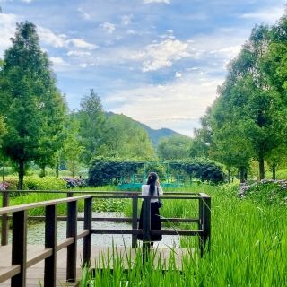 Full of Refreshing Scenery! Taehwa-dong National Garden.