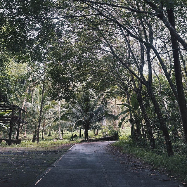 คาเฟ่ลับเกาะช้างเลี้ยวซ้าย วิวสวยตะโกน #เกาะช้าง