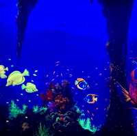 Interactive Fun and Stunning Visuals at 3D Art in Paradise Langkawi