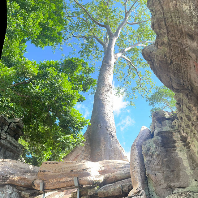 Another incredible Temple -TA PROHM