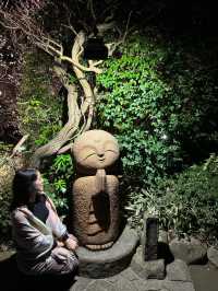 〜神奈川県〜鎌倉の名所！長谷寺ライトアップ！