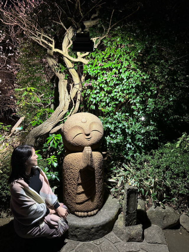 〜神奈川県〜鎌倉の名所！長谷寺ライトアップ！