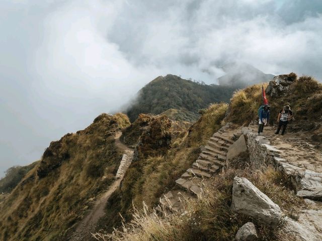 Day 3 Mardi Himal (Low Camp - High Camp)