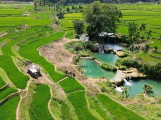 A Water Oasis Amidst the Fields of Sumba Island