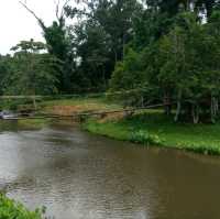 โบกรถ..ขึ้นอุทยานแห่งชาติเขาใหญ่