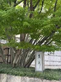 京都米芝蓮🌟鰻魚店