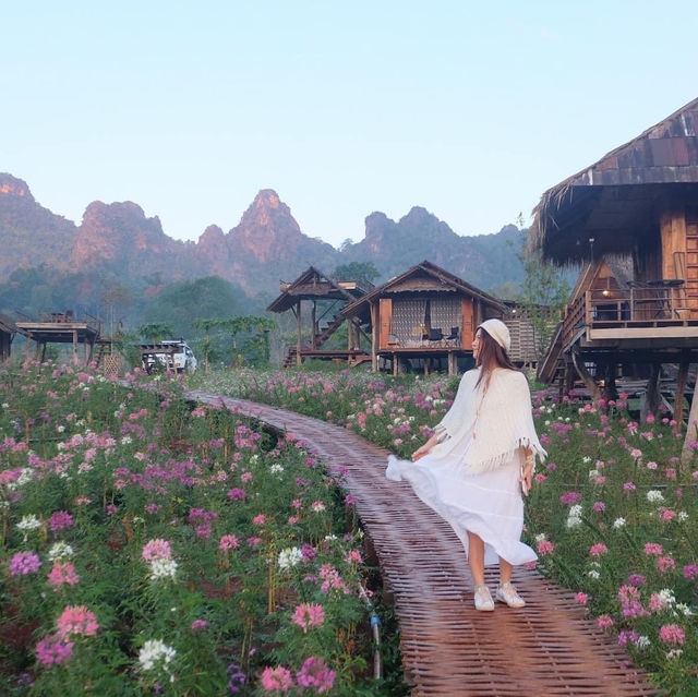 ไร่ภูผาหมวก ที่พักแสนสงบกลางทุ่งดอกไม้และสายหมอก
