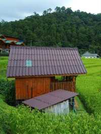 นาขั้นบันได ดอยอินทนนท์