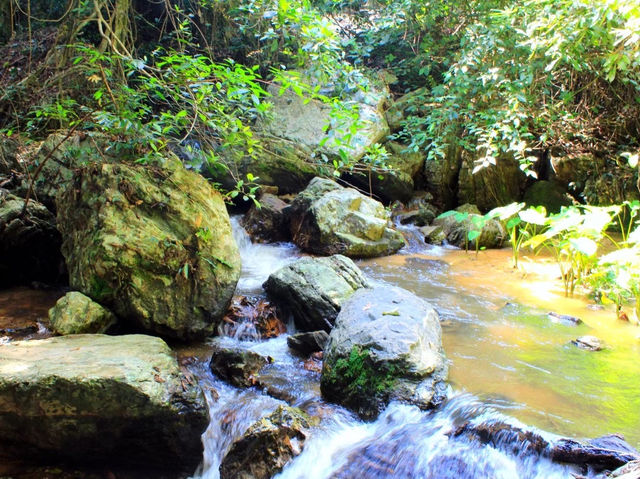 รีวิว ถ้ำธารลอดใหญ่ ⛰️(เดินป่าเข้าหาธรรมชาติ)