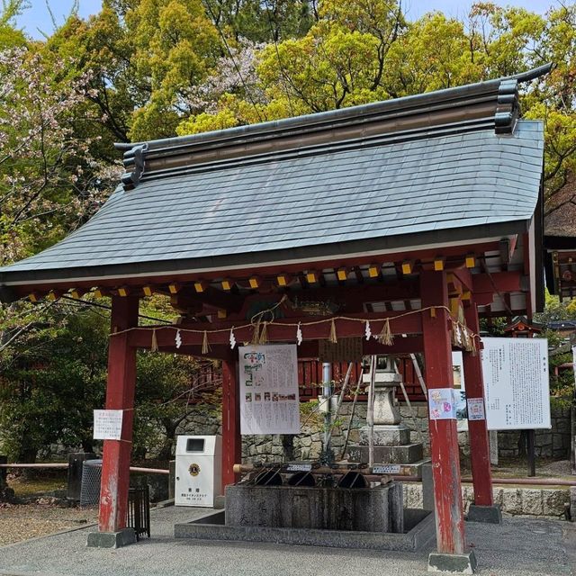 日本神社漫走，莊嚴肅穆的津島神社。