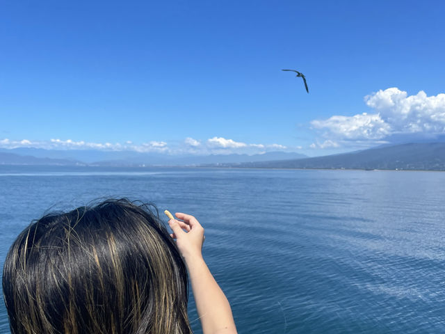 【静岡】穴場海水浴場⛱️大瀬崎