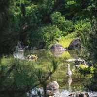 平野公園～最佳回憶