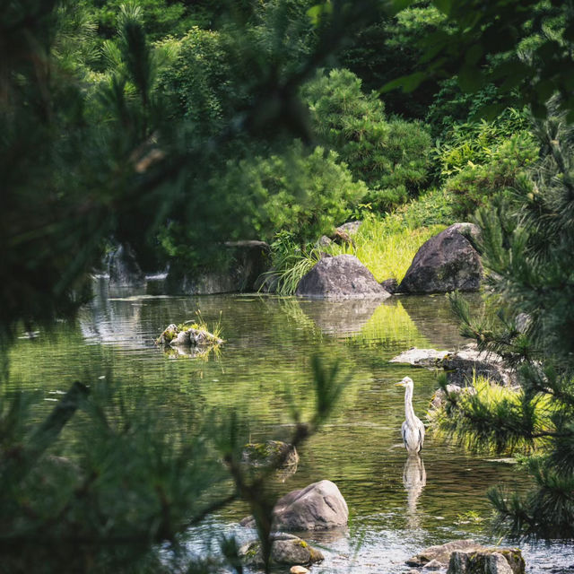 平野公園～最佳回憶