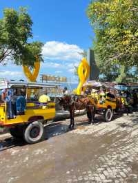 「印尼龍目島附近嘅Gili Island，有趣的是島上的交通工具！適合度假！」