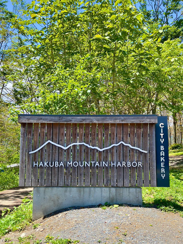 白馬 ❤︎ 絶対見てみたい💚圧巻の大パノラマ🏔️✨ 