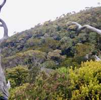 **"Conquering Mount Kinabalu: A Rewarding Challenge"**