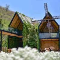 CHAN​ nature​ cafe​