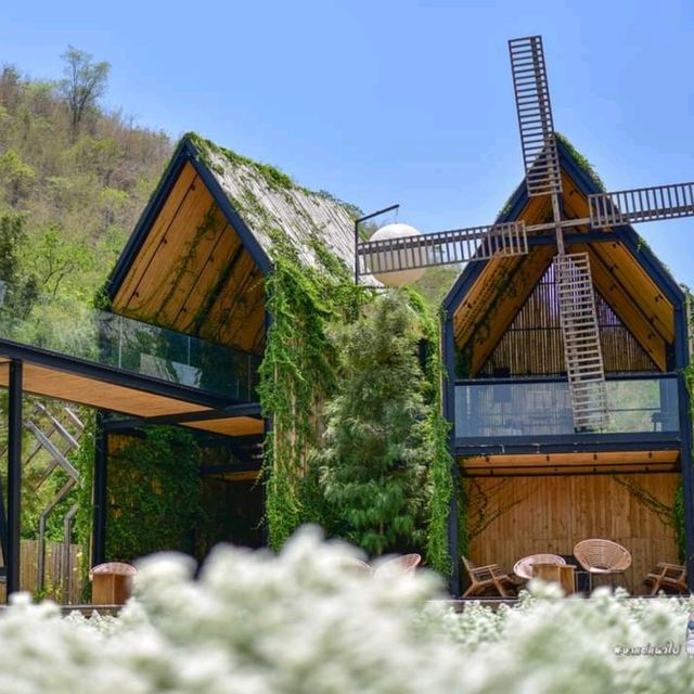 CHAN​ nature​ cafe​