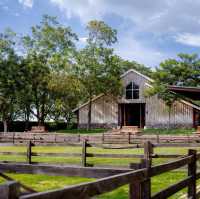 Rancho Charnvee Resort Khaoyai & CountryClub