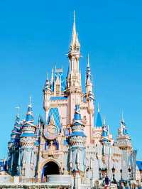 Where magic reigns